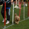 agility 2011-10-30